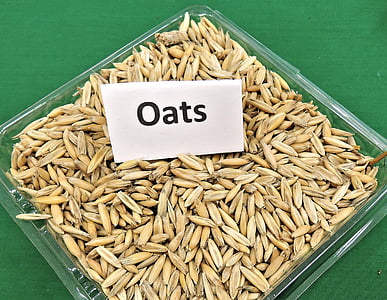 oats grains on clear plate thumbnail