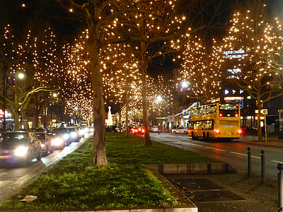 leafless tree with string lights near road thumbnail