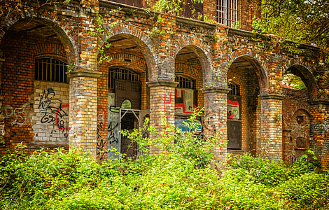 green leaf plant beside building thumbnail