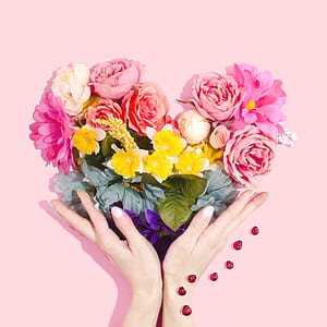 person holding pink rose flowers and yellow daffodil flowers thumbnail
