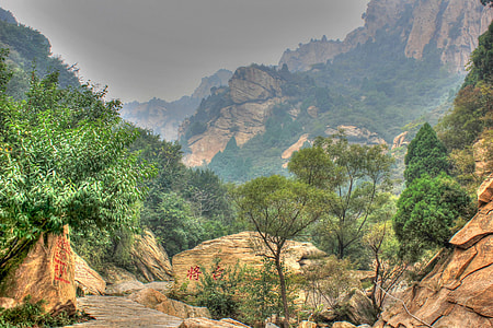 green trees near mountains during daytime thumbnail