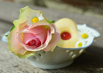 flower in bowl thumbnail