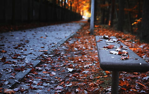 rule of thirds photography of bench thumbnail