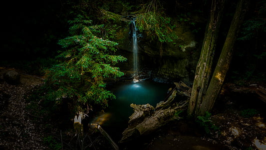 green waterfalls surrounded by tall trees during dawn thumbnail