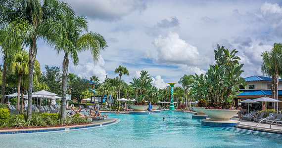 people relaxing beside the pool near palm tree thumbnail