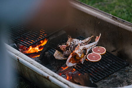 closeup photo of grilled fish and sliced orange thumbnail