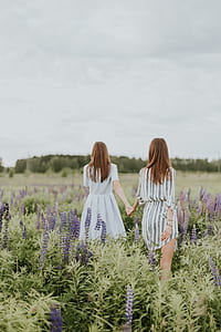 two women walking in lavender flower field while holding hands at daytime thumbnail