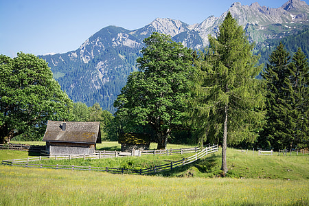 photo of gray wooden house beside green leaf trees on green grass field across mountain during daytime thumbnail