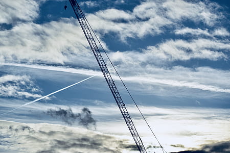 silhouette of crane thumbnail