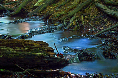 brown driftwood thumbnail