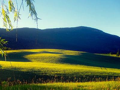 landscape photo of grass field near mountain thumbnail