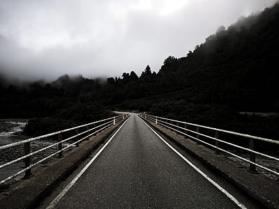 road, water, forest, trees thumbnail