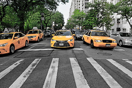 four selective yellow color car on road during daytime thumbnail