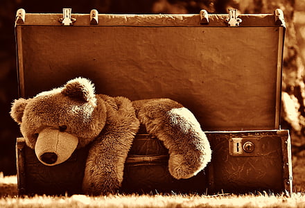 brown teddy bear on luggage thumbnail