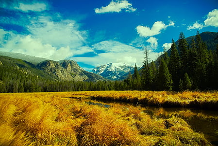 brown grass field near the trees under the white clouds thumbnail