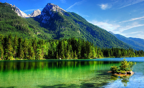 clear photography of forest mountain and body of water thumbnail