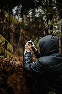 Autumn walk to the forest in foggy weather thumbnail