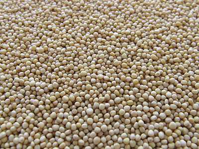 quinoa thumbnail