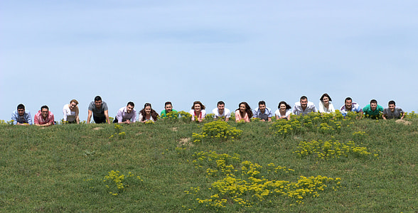 people lying on grass field thumbnail