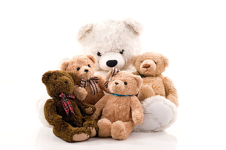 five assorted-color bear plush toys thumbnail