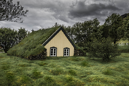 brown and white house covered by grass surrounded by tree under humid weather thumbnail