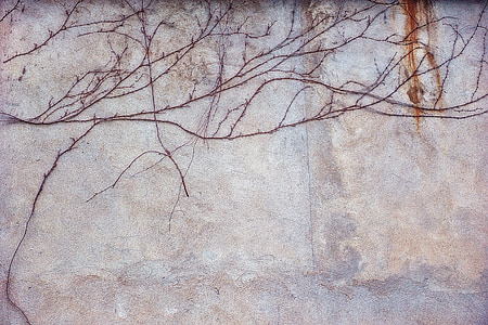 brown tree branch painting thumbnail