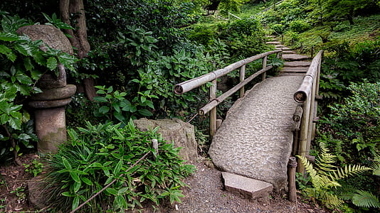 brown wooden bridge surrounded by plants thumbnail