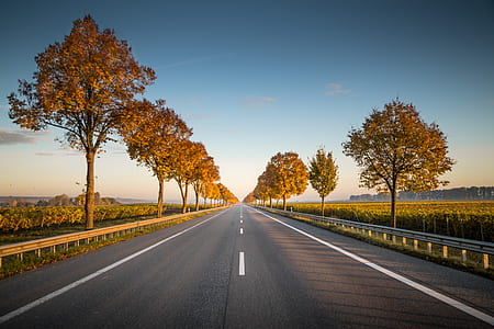 straight highway thumbnail