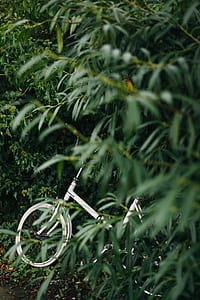 white bicycle beside green trees thumbnail