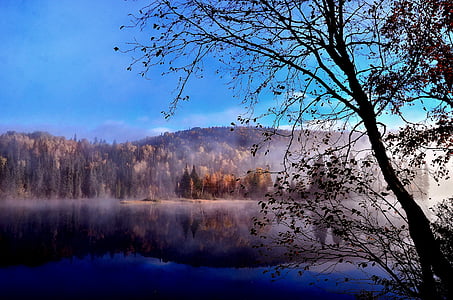 lake surrounded with trees under blue sky thumbnail