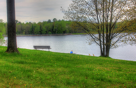 Man next to the bench by the lake at Council Grounds State Park, Wisconsin thumbnail