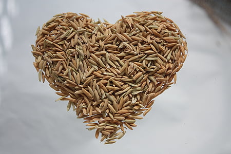 heart shaped rice grain on clear surface thumbnail