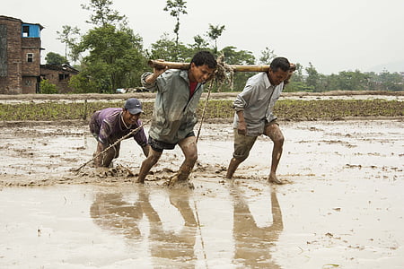 three men standing on mud during daytime thumbnail