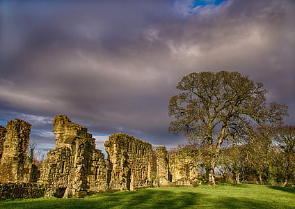abandoned architectural structure near tree thumbnail