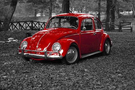 red Volkswagen beetle thumbnail