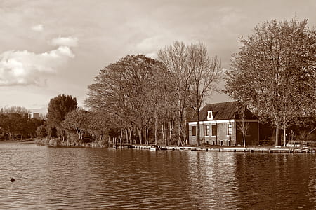 body of water during daytime thumbnail