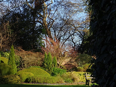bench, landscape, nature, garden thumbnail