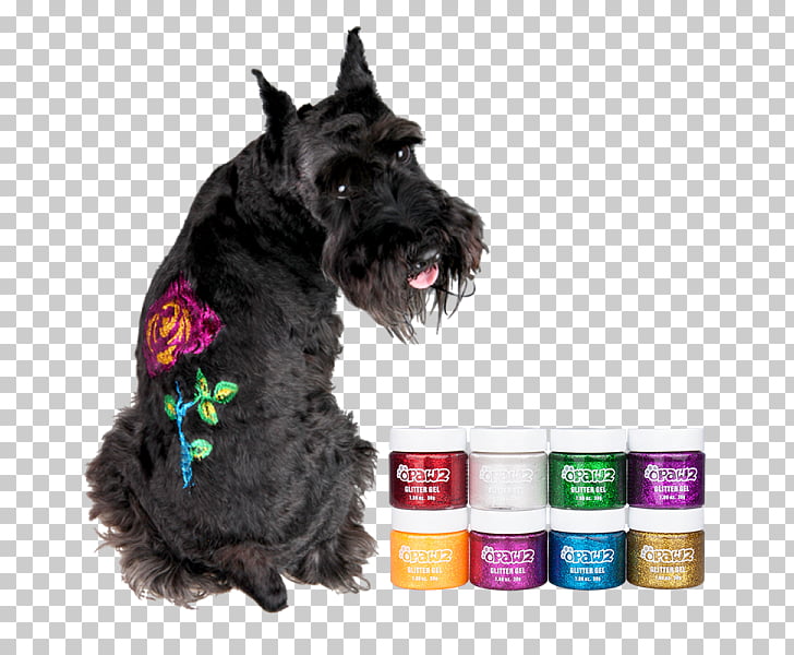Miniature Schnauzer Scottish Terrier Cairn Terrier Dog Grooming