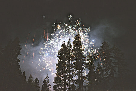 silhouette photo of fireworks near woods during nighttime thumbnail