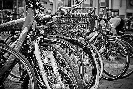 grasycale photo of bikes thumbnail