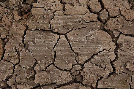 brown stone thumbnail