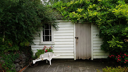 closed brown wooden door of cabinet surrounded by tall green trees thumbnail