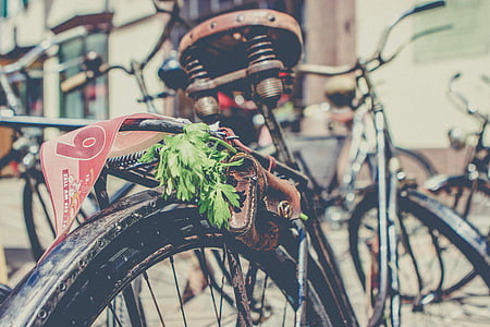 brown and gray bicycle thumbnail