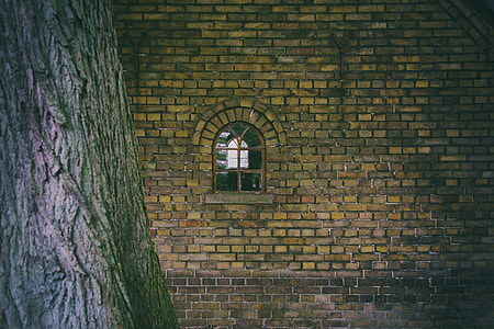 Window of the old house near the tree thumbnail