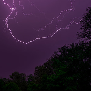 green trees under lightning during nighttime thumbnail