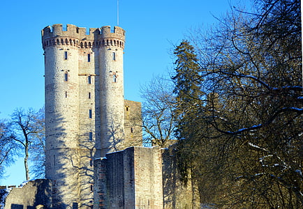 grey and black castle near tall trees under blue sky at daytime thumbnail