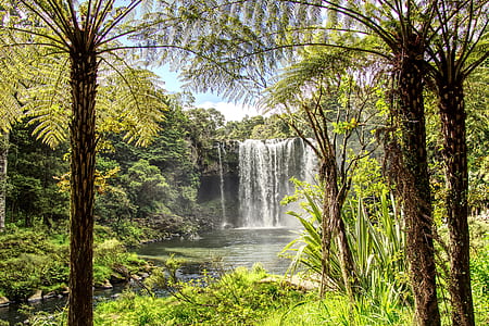 waterfalls surrounded by trees thumbnail