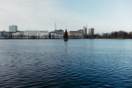 Floating Christmas Tree on Alster thumbnail