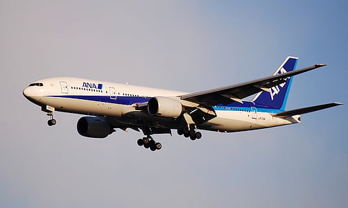 white and blue Ana airline in midair thumbnail