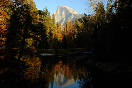 photo of calm body of water beside pine trees thumbnail